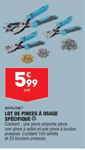 ALDI Lot de Pinces à Usage Spécifique offre