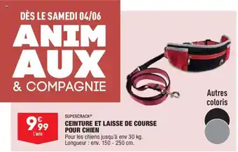 ALDI Ceinture Et Laisse de Course Pour Chien offre
