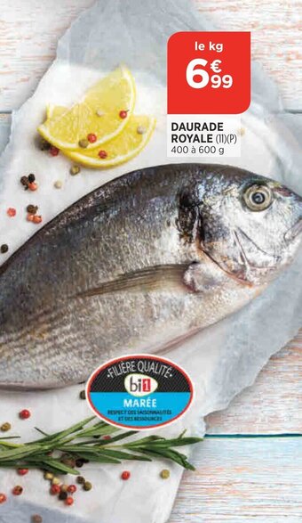 Daurade Royale