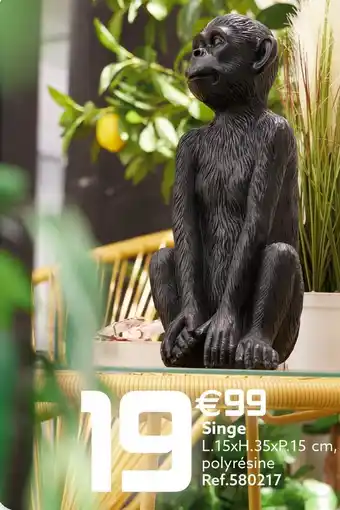 Singe