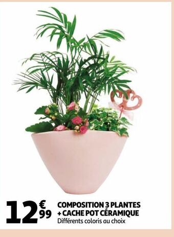 Composition 3 plantes + cache pot céramique
