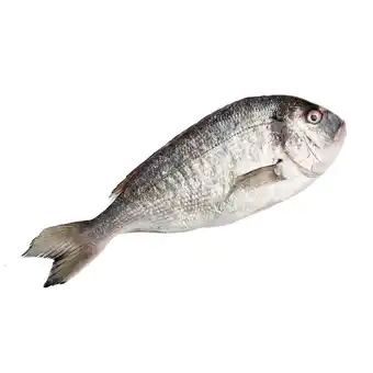 Dorade royale