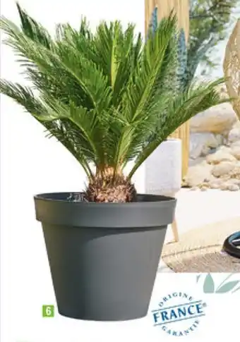 Pot "Toscane"
