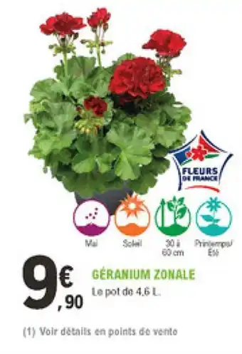 E.Leclerc Jardi Géranium Zonale offre