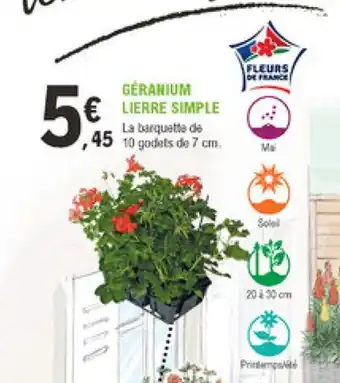 E.Leclerc Jardi Géranium Lierre Simple offre