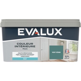 Brico Dépôt Peinture couleur 2,5 l haute résistance offre