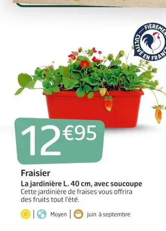 Jardiland Fraisier offre