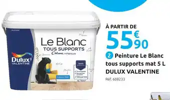 Mr Bricolage Dulux valentine peinture le blanc tous supports mat 5 l offre