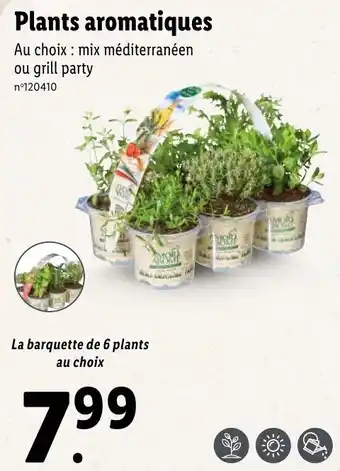 Lidl Plants aromatiques offre