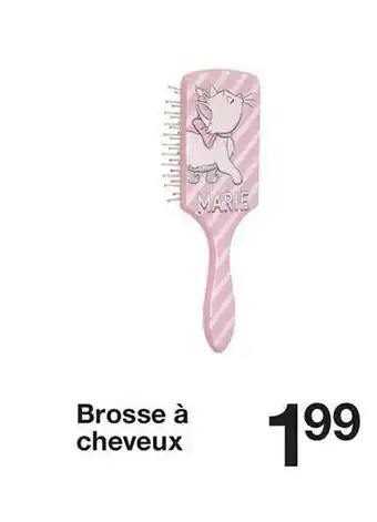 Zeeman Brosse à Cheveux offre