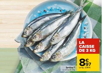 Carrefour Sardine offre