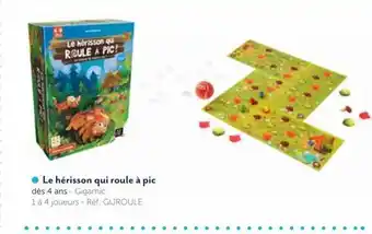 Le Bonhomme de Bois Le herisson qui roule a pic gigamic offre
