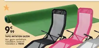 L'incroyable Tapis Imitation Gazon offre