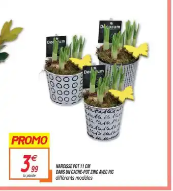 Netto Narcisse Pot 11 cm Dans Un Cache -Pot Zinc Avec Pic offre
