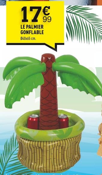 Centrakor Le palmier gonflable offre