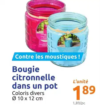 Action Bougie citronnelle dans un pot offre