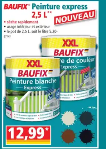 Norma Peinture express offre