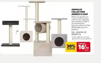 Animalis Animalis Collection Arbres à Chat offre