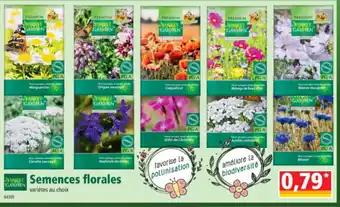 Norma Semences florales offre