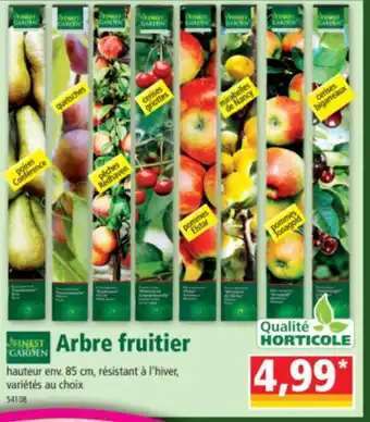 Norma Arbre fruitier offre