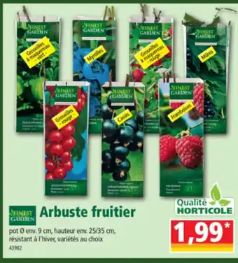 Norma Arbuste fruitier offre
