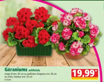 Norma Géraniums artificiels offre