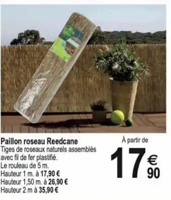 Paillon roseau Reedcane