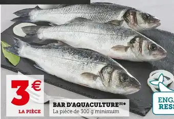 Super U Bar d'aquaculture offre