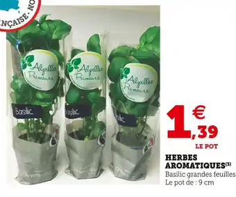 Herbes aromatiques