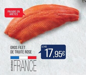 Match Gros Filet de Truite Rose offre
