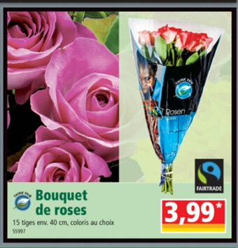 Norma Bouquet de roses offre