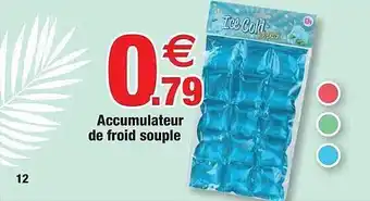 Accumulateur De Froid Souple