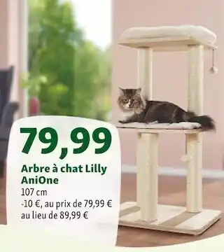 Maxi Zoo Anione arbre à chat lilly offre