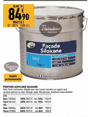 Brico Cash Théodore Acrylique Siloxane offre