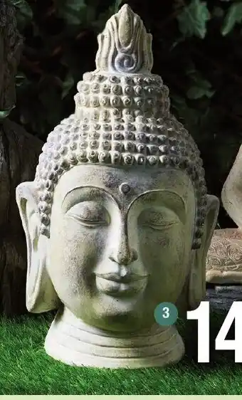 Migros Tête de bouddha offre