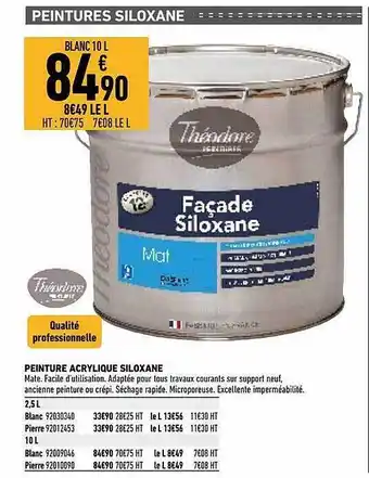 Brico Cash Peinture Acryliquef Siloxane offre