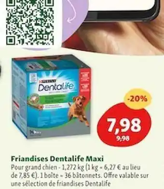 Maxi Zoo Friandises Dentalife Maxi offre