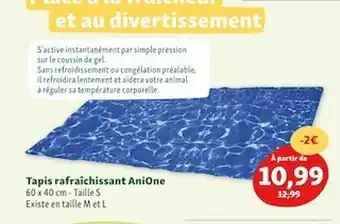 Maxi Zoo Tapis Rafraîchissant Anione offre