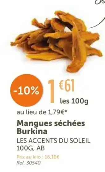 Mangues Séchées Burkina