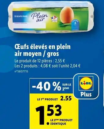 Lidl Plein air Œufs élevés en moyen/gros offre