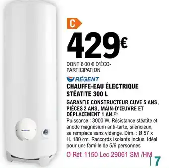 Régent Chauffe-Eau électrique Stéatite 300L