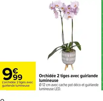 Carrefour Orchidée 2 Tiges Avec Guirlande Lumineuse offre