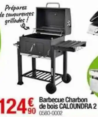 Oogarden Barbecue Charbon de bois Caloundra 2 offre