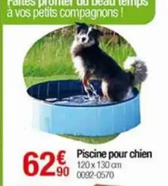 Oogarden Piscine pour chien offre