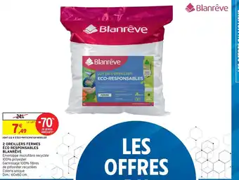 Intermarché Blanrêve 2 Oreillers Fermes Éco Responsables offre