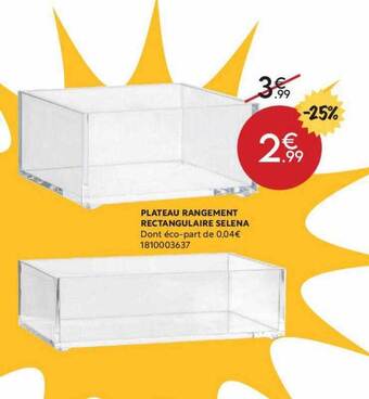 Maxi Bazar Plateau Rangement Rectangulaire Selena offre
