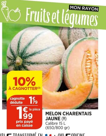 Bi1 Melon Charentais Jaune offre