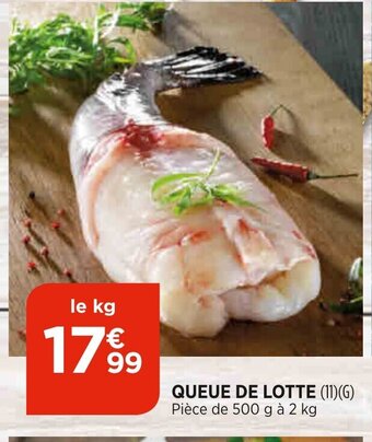 Bi1 Queue de Lotte offre