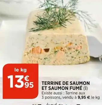Bi1 Terrine de Saumon Et Saumon Fumé offre