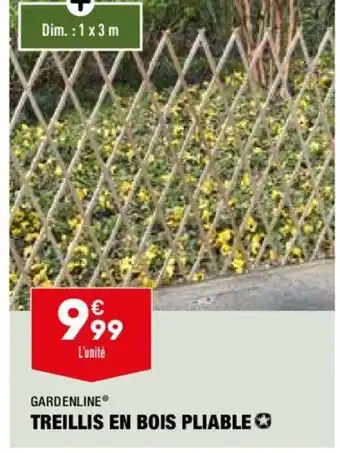 ALDI Gardenline Treillis En Bois Pliable offre